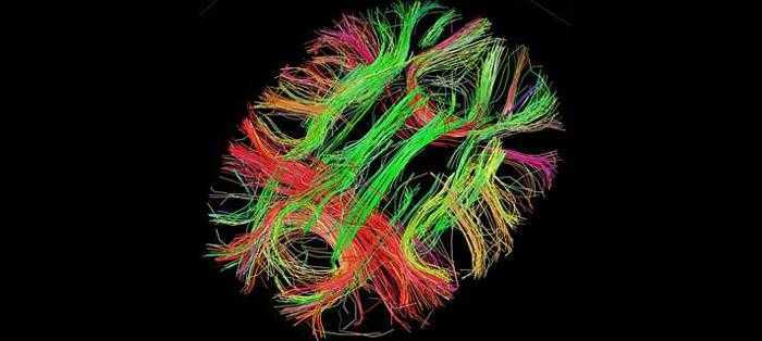 探秘神经网络：智能背后的神秘力量