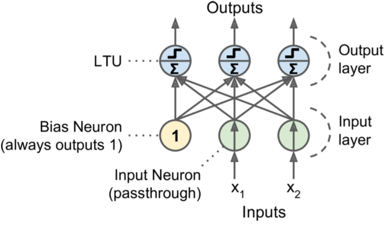 探秘神经网络：智能背后的神秘力量