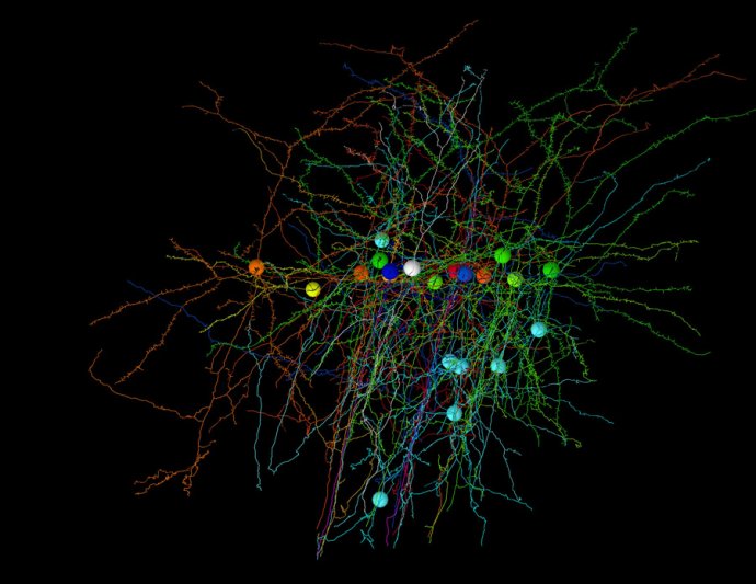 探秘神经网络：智能背后的神秘力量
