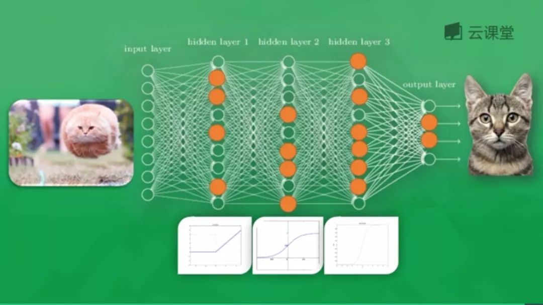 主流神经网络框架全解析：开启AI智慧之门